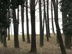 九博入口 -睐睇眚睐睇眚傻遭眦璨iuytuy